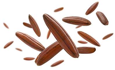 How much monacolin K in your red yeast rice preparation?