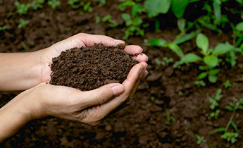 Why experts desperately want to add this micronutrient to the soil